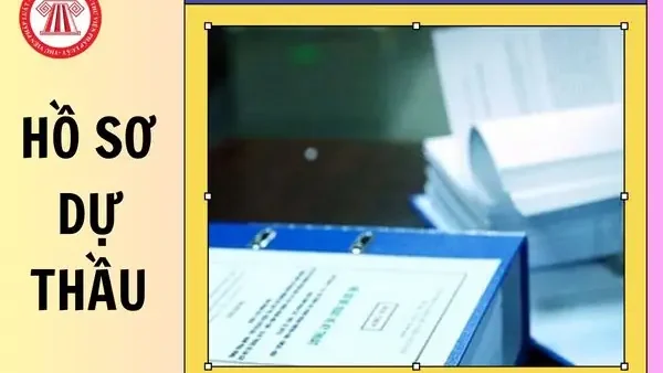 Bản Chụp Hồ Sơ Dự Thầu Là Gì? Phân Biệt, Xử Lý Sai Khác & Quy Định
