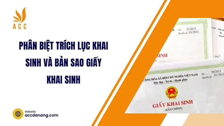 Bản Chụp Là Gì? Phân Biệt Với Bản Sao Và Giá Trị Pháp Lý