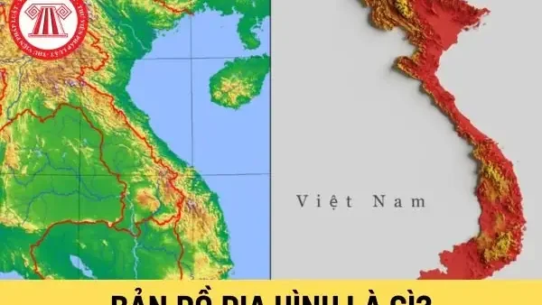 Bản Đồ Là Gì? Khái Niệm, Vai Trò Và Các Loại Bản Đồ Phổ Biến