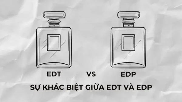 Nước Hoa EDT Là Gì? Tìm Hiểu Chi Tiết Về Eau De Toilette Và So Sánh Với EDP