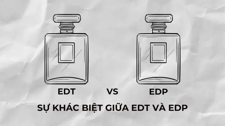 Nước Hoa EDT Là Gì? Tìm Hiểu Chi Tiết Về Eau De Toilette Và So Sánh Với EDP