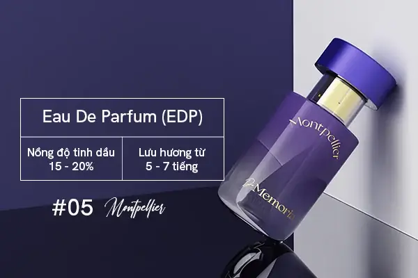 Nước Hoa EDT Là Gì? Tìm Hiểu Chi Tiết Về Eau De Toilette Và So Sánh Với EDP