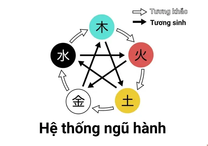 Bản Mệnh Là Gì? Tương Sinh Là Gì Và Ứng Dụng Trong Phong Thủy