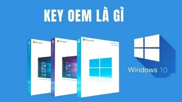 Bản Quyền Số Windows 10 Là Gì? Hướng Dẫn Phân Biệt Với Bản Lậu & Cách Kiểm Tra