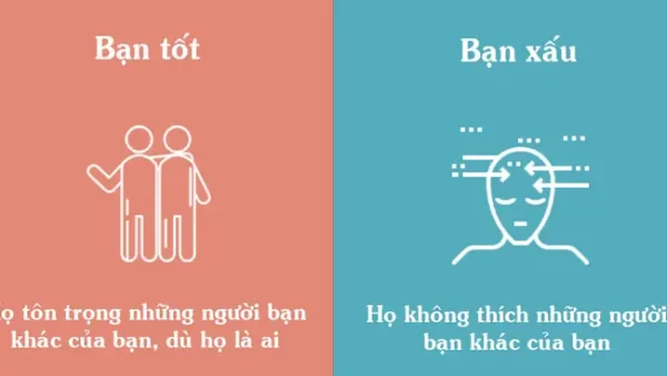 Bạn Và Bè Khác Nhau Như Thế Nào? Phân Biệt Rõ Ràng Để Xây Dựng Mối Quan Hệ Bền Vững