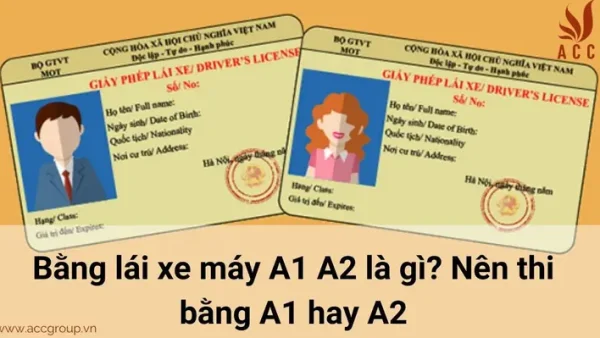 Bằng A1, A2 Là Gì? Phân Biệt Và Quy Định Chi Tiết Các Hạng Giấy Phép Lái Xe Máy
