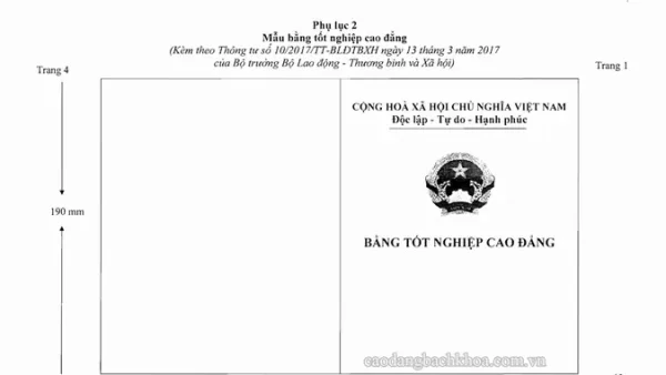 Bằng Cao Đẳng Được Gọi Là Gì? Danh Hiệu Chính Thức Sau Tốt Nghiệp