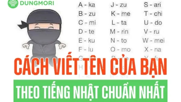 Cao Đẳng Tiếng Nhật Là Gì? Thông Tin Chi Tiết Từ A-Z