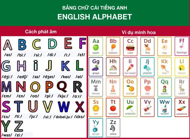 Bảng Chữ Cái Alphabet Tiếng Anh: Khái Niệm, Cấu Trúc Và Cách Học Hiệu Quả