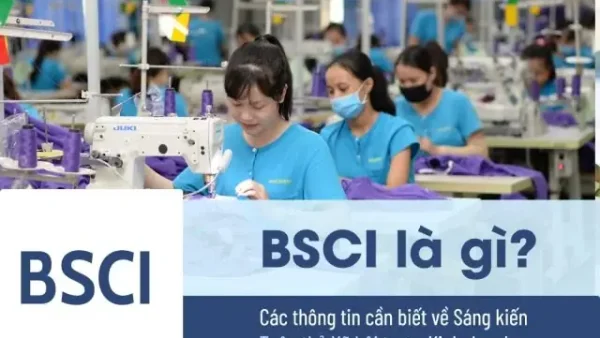 Bằng Chứng Đánh Giá Là Gì? Phân Biệt Và Vai Trò Trong Các Quy Trình Audit