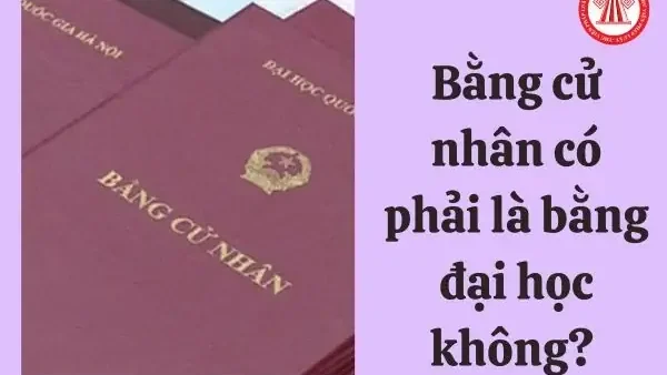 Bằng Cử Nhân Đại Học Là Gì? Định Nghĩa, Giá Trị & Các Câu Hỏi Thường Gặp