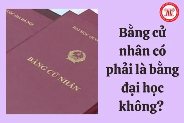 Bằng Cử Nhân Đại Học Là Gì? Định Nghĩa, Giá Trị & Các Câu Hỏi Thường Gặp
