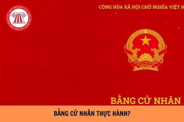 Bằng Cử Nhân Đại Học Là Gì? Định Nghĩa, Giá Trị & Các Câu Hỏi Thường Gặp