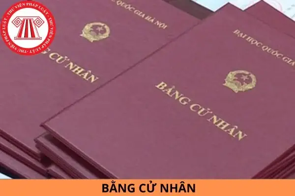 Bằng Cử Nhân Đại Học Là Gì? Định Nghĩa, Giá Trị & Các Câu Hỏi Thường Gặp