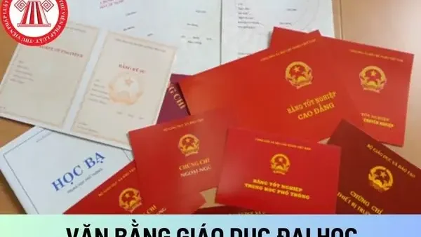 “bằng Đỏ” Đại Học Là Gì? Ý Nghĩa Và Phân Loại Các Loại Bằng Tốt Nghiệp Hiện Nay