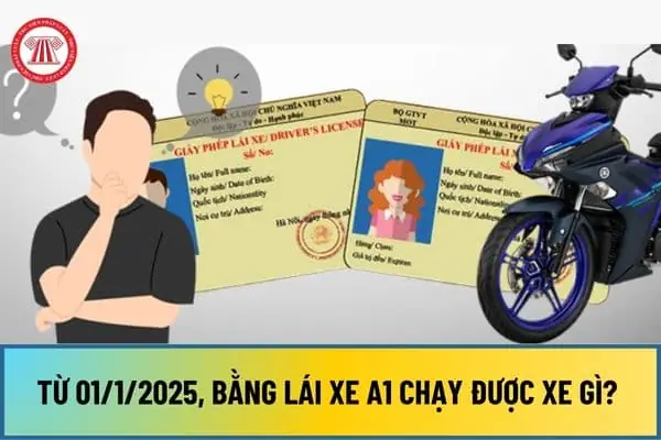 Bằng Lái Xe Hạng A1 Là Gì? Quy Định Mới Nhất, Xe Chạy Được & Hồ Sơ Thi