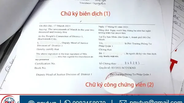 Băng Nhân Là Gì? Định Nghĩa, Vai Trò Và Ý Nghĩa Trong Văn Hóa Việt Nam