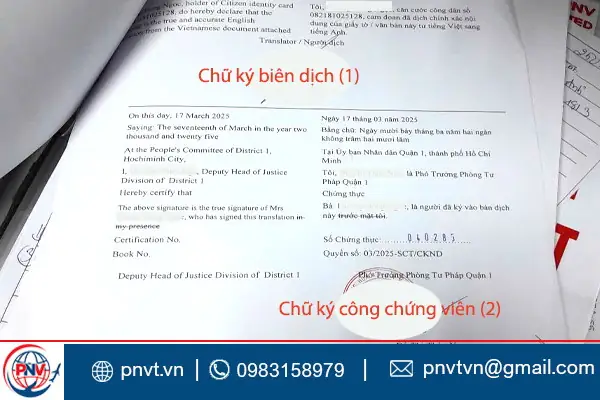 Băng Nhân Là Gì? Định Nghĩa, Vai Trò Và Ý Nghĩa Trong Văn Hóa Việt Nam