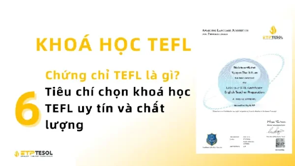 Chứng Chỉ TEFL Là Gì? Điều Kiện, Lợi Ích Và Cách Chọn Khóa Học Chuẩn Quốc Tế