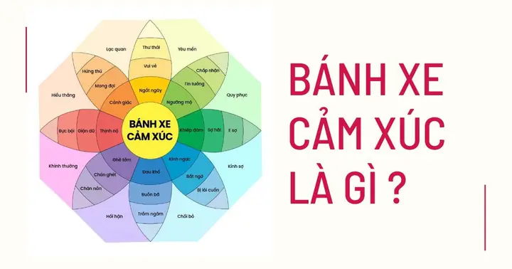 Bánh Xe Cảm Xúc Là Gì? Khái Niệm, Cấu Trúc Và Ứng Dụng Thực Tế