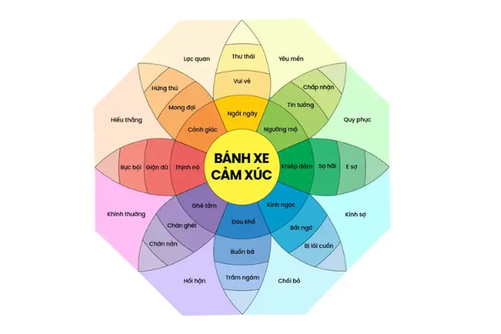 Bánh Xe Cảm Xúc Là Gì? Khái Niệm, Cấu Trúc Và Ứng Dụng Thực Tế