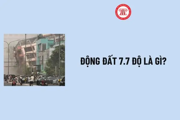 Bao Cảnh Là Gì? Thành Phần Cấu Tạo Và Vai Trò Y Khoa