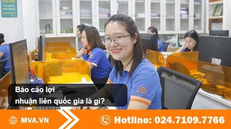 Báo Cáo Lợi Nhuận Liên Quốc Gia (cbcr): Khái Niệm, Đối Tượng Và Quy Định Mới Nhất