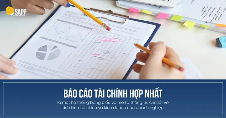 Báo Cáo Tài Chính Riêng Lẻ Là Gì? Phân Biệt Với Báo Cáo Hợp Nhất