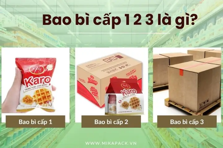 Bão Cấp 3 Là Gì? Tốc Độ Gió, Sức Tàn Phá Và Cách Nhận Biết