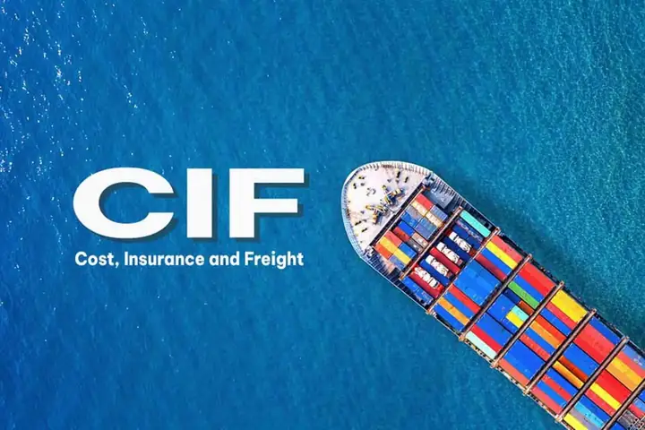 Báo Giá CIF Là Gì? Hướng Dẫn Hiểu Rõ Về Điều Khoản Cost, Insurance, Freight