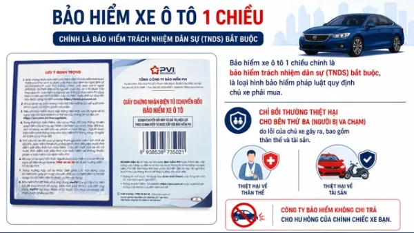 Bảo Hiểm Ô Tô 1 Chiều & 2 Chiều: Định Nghĩa, Phân Biệt & Nên Chọn Loại Nào?