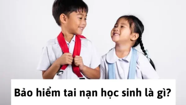 Bảo Hiểm Học Sinh Là Gì? Quyền Lợi, Mức Phí Và Những Điều Cần Biết Chi Tiết