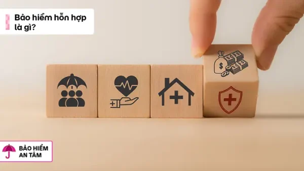 Bảo Hiểm Hỗn Hợp Là Gì? Đặc Điểm, Lợi Ích Và Lưu Ý Quan Trọng