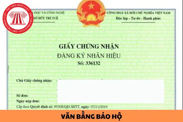 Bảo Hộ Là Gì? Các Khái Niệm Liên Quan Đến Bảo Hộ Hiện Nay