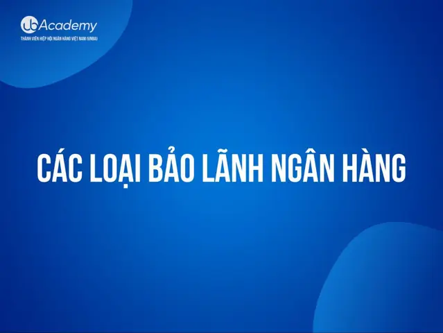 Thư Bảo Lãnh Là Gì? Phân Loại, Quy Trình Và Lợi Ích Cho Doanh Nghiệp