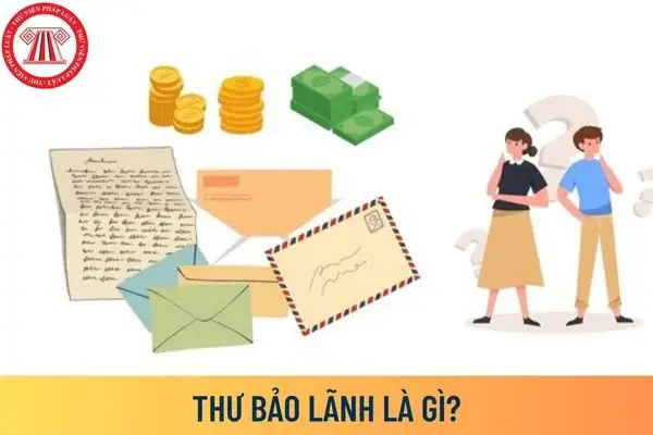 Thư Bảo Lãnh Là Gì? Phân Loại, Quy Trình Và Lợi Ích Cho Doanh Nghiệp