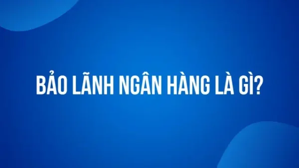 Thư Bảo Lãnh Là Gì? Phân Loại, Quy Trình Và Lợi Ích Cho Doanh Nghiệp