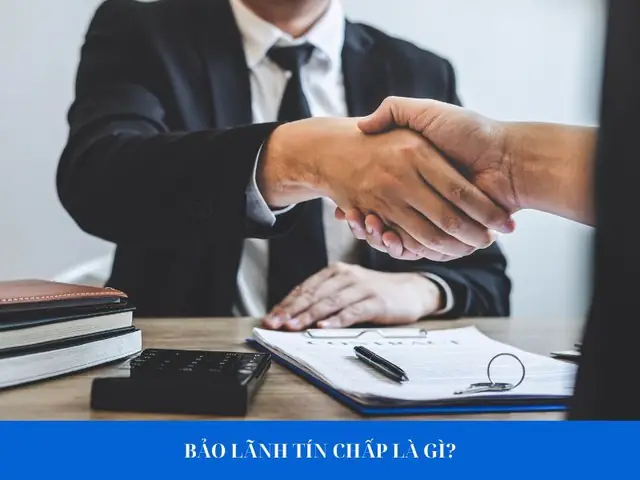 Bảo Lãnh Tín Chấp Là Gì? Định Nghĩa, Phân Loại Và Quy Trình Chi Tiết