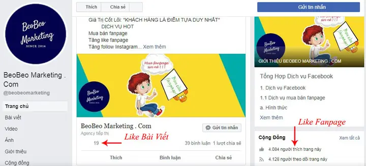 Bão Like Là Gì? Ý Nghĩa Và Cách Tạo Ra "cơn Bão Like" Hiệu Quả Trên Mạng Xã Hội