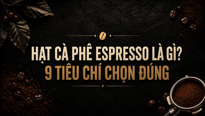 Bao Lô Xỉu Chủ Là Gì? Hướng Dẫn Chi Tiết Cách Chơi & Tính Tiền Thắng