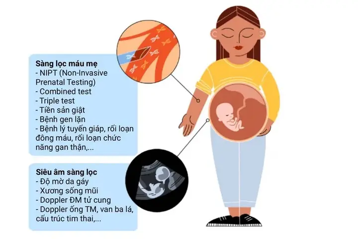 Bao Test Là Gì? Phân Biệt Với Bảo Hành Và Các Lưu Ý Khi Mua Hàng Cũ