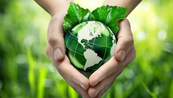 Bảo Vệ Trái Đất Là Gì? Các Hành Động Thiết Thực Cho Tương Lai Bền Vững Bảo Vệ Trái Đất Là Gì? Các Hành Động Thiết Thực Cho Tương Lai Bền Vững