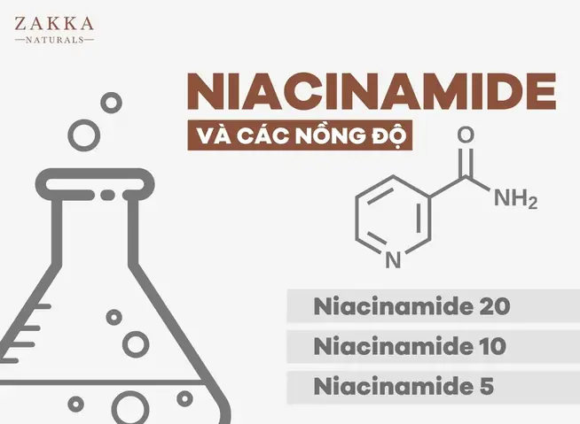 Barbital Là Gì? Công Dụng, Phân Loại Và Những Điều Cần Biết