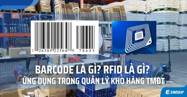 Barcode Reader Là Gì? Phân Loại, Ứng Dụng & Cách Chọn Máy Đọc Mã Vạch Phù Hợp
