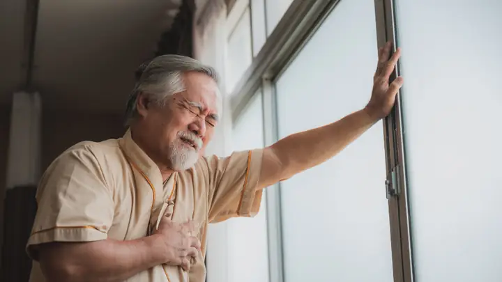 Baroreceptor Là Gì? Cấu Tạo, Vị Trí, Chức Năng Và Vai Trò Trong Điều Hòa Huyết Áp
