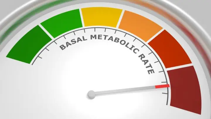 Basal Là Gì? Ý Nghĩa, Cách Dùng Và Các Thuật Ngữ Liên Quan