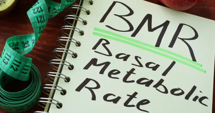 Basal Là Gì? Ý Nghĩa, Cách Dùng Và Các Thuật Ngữ Liên Quan