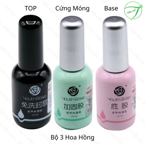 Base Top Là Gì? Công Dụng, Phân Loại Và Cách Sử Dụng Hiệu Quả
