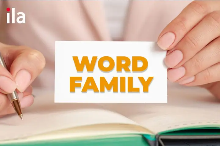 Base Word Là Gì? Phân Biệt Gốc Từ, Tiền Tố, Hậu Tố Và Ứng Dụng