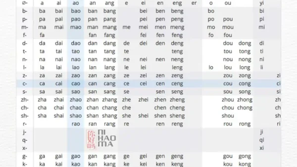 Bắt Buộc Tiếng Trung Là Gì? Giải Đáp Chi Tiết Ý Nghĩa 必须, 逼迫 Và Các Cấu Trúc Liên Quan